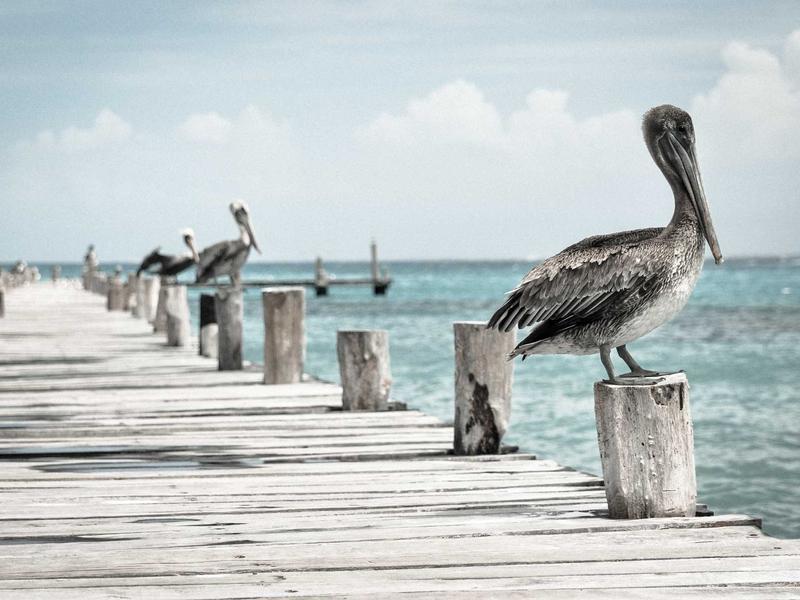 LenoZaraInouxVor Rosario 2